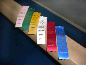Competition award ribbons!