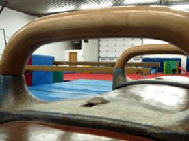 Close up of the pommel horse.